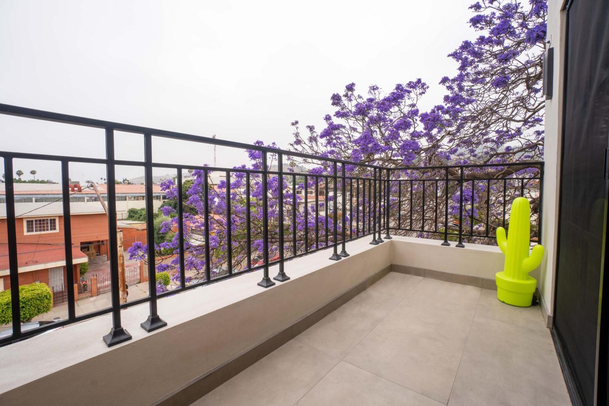 Suites Miramar14 Ενσενάντα Εξωτερικό φωτογραφία